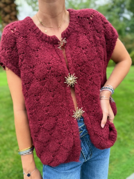 Pull Gilet Goldy – Douceur & Style | Sud Access Pull Gilet Goldy – Douceur & Style | Sud Access