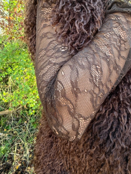 Dentelle Top chocolat Dentelle Top chocolat
