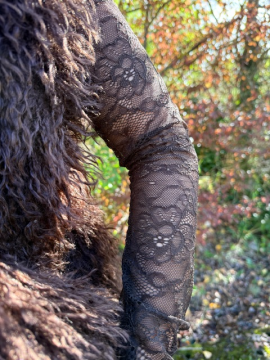 Dentelle Top chocolat Dentelle Top chocolat